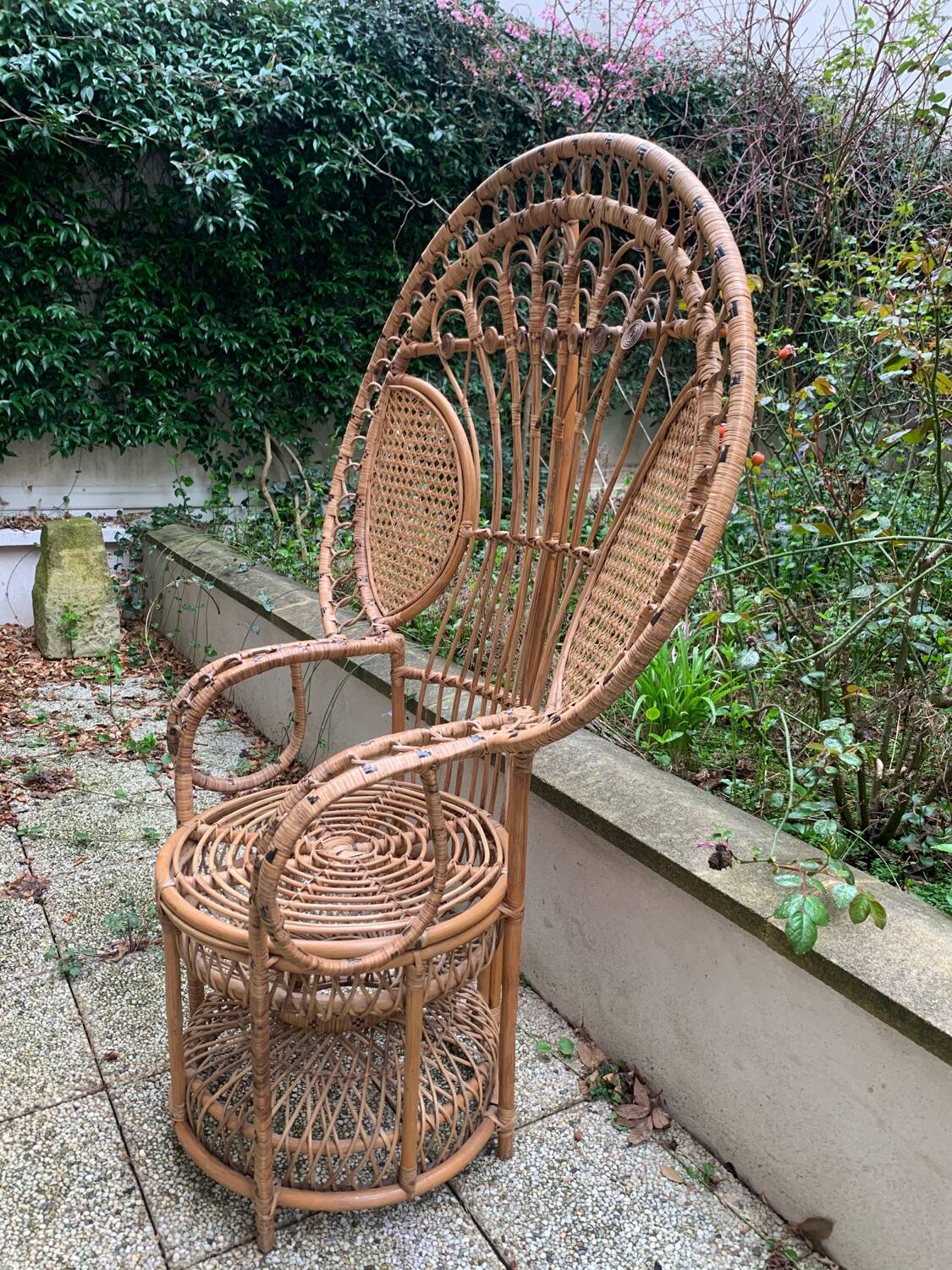 Peacock rattan armchair