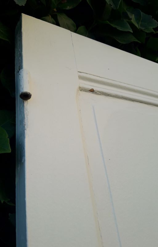 Pair of doors 218,5x92,5cm old closet