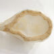 Cache-pot Cygne