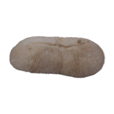 ancient white coral (fungia, coral mushroom)