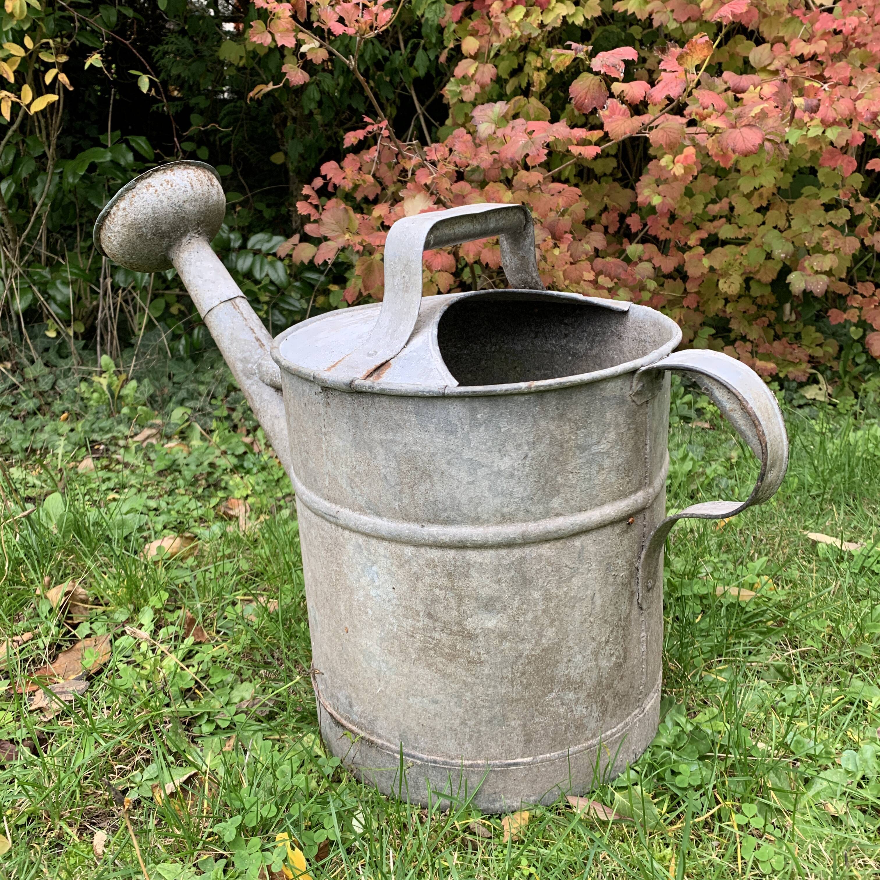 Zinc watering can
