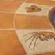 Barrois vintage shell-patterned comma coffee table in wood and ceramic.