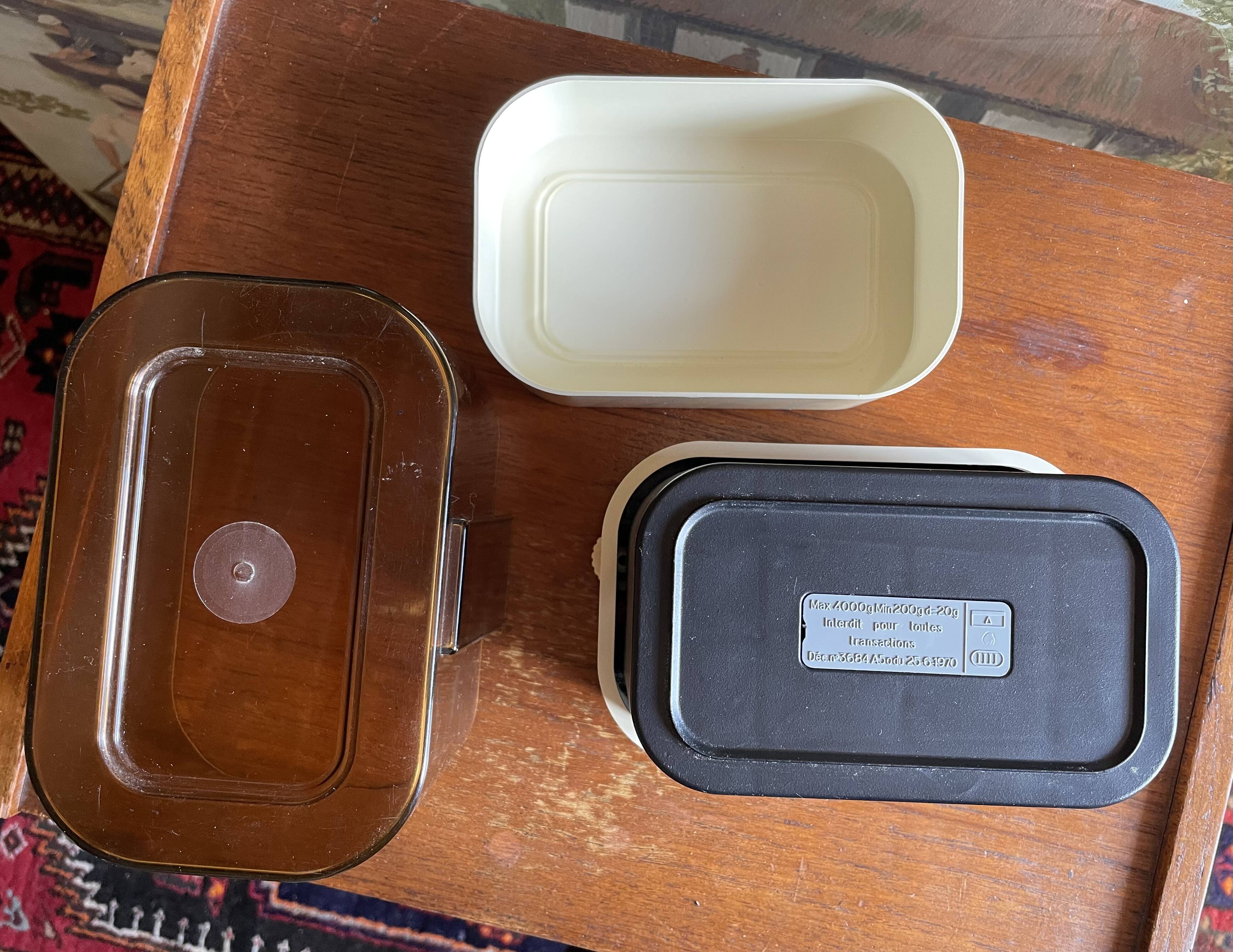 Terraillon 4000 scale