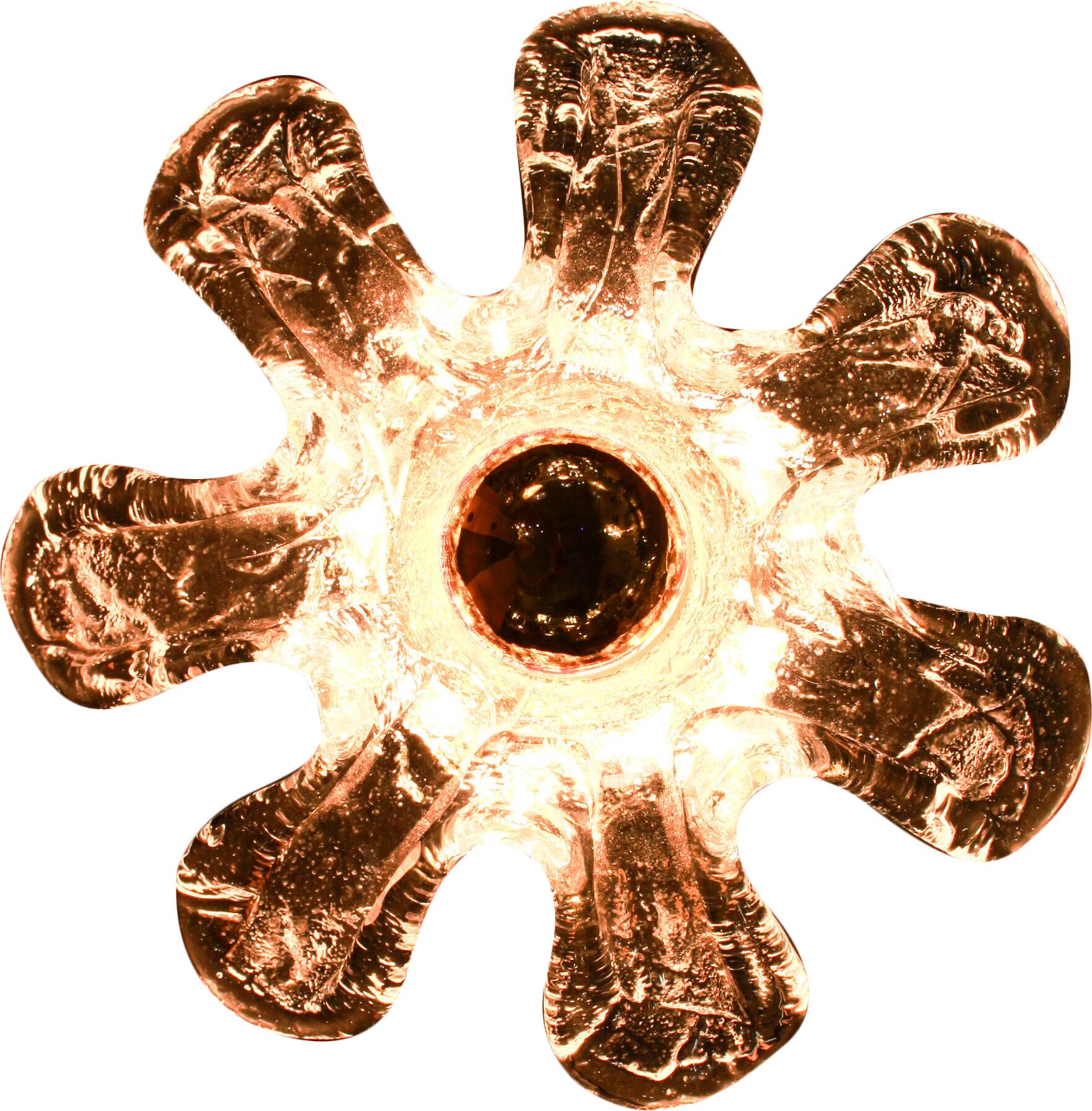 Pair of Italian wall sconces in Murano glass in the shape of a flower.