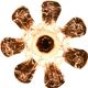 Pair of Italian wall sconces in Murano glass in the shape of a flower.