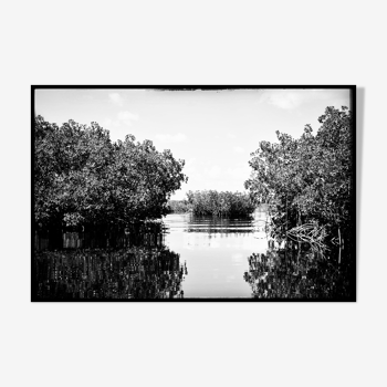Paysage Everglades, Floride USA, Photographie Fine art