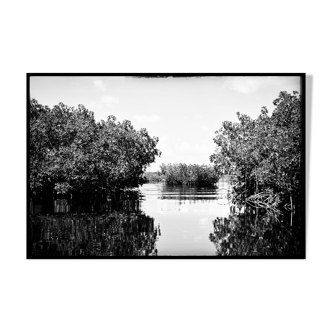 Paysage Everglades, Floride USA, Photographie Fine art