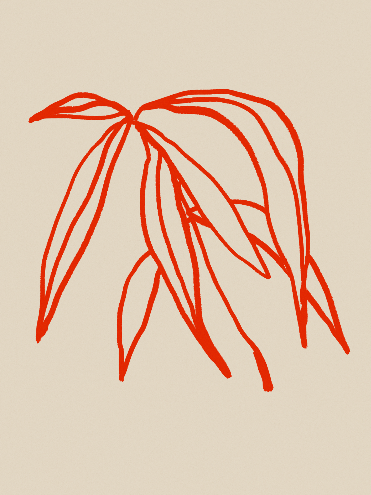 Botanical illustration giclee print, 50x70