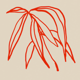 Botanical illustration giclee print, 50x70