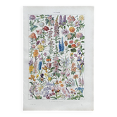 Old illustration Millot "flowers"