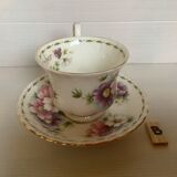 Cosmos Cup October Royal Albert