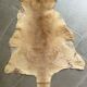 Kangaroo skin Curiosity cabinet