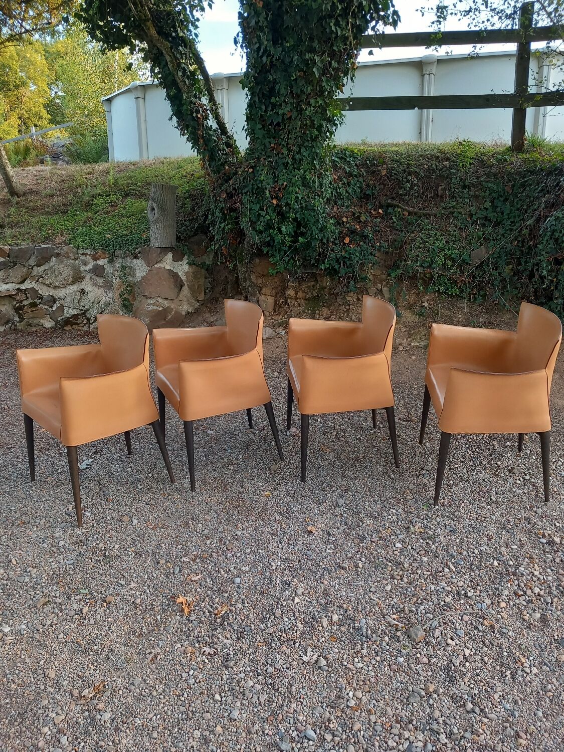 Set of 4 Vela chairs by Carlo Bartoli for Matteo Grassi