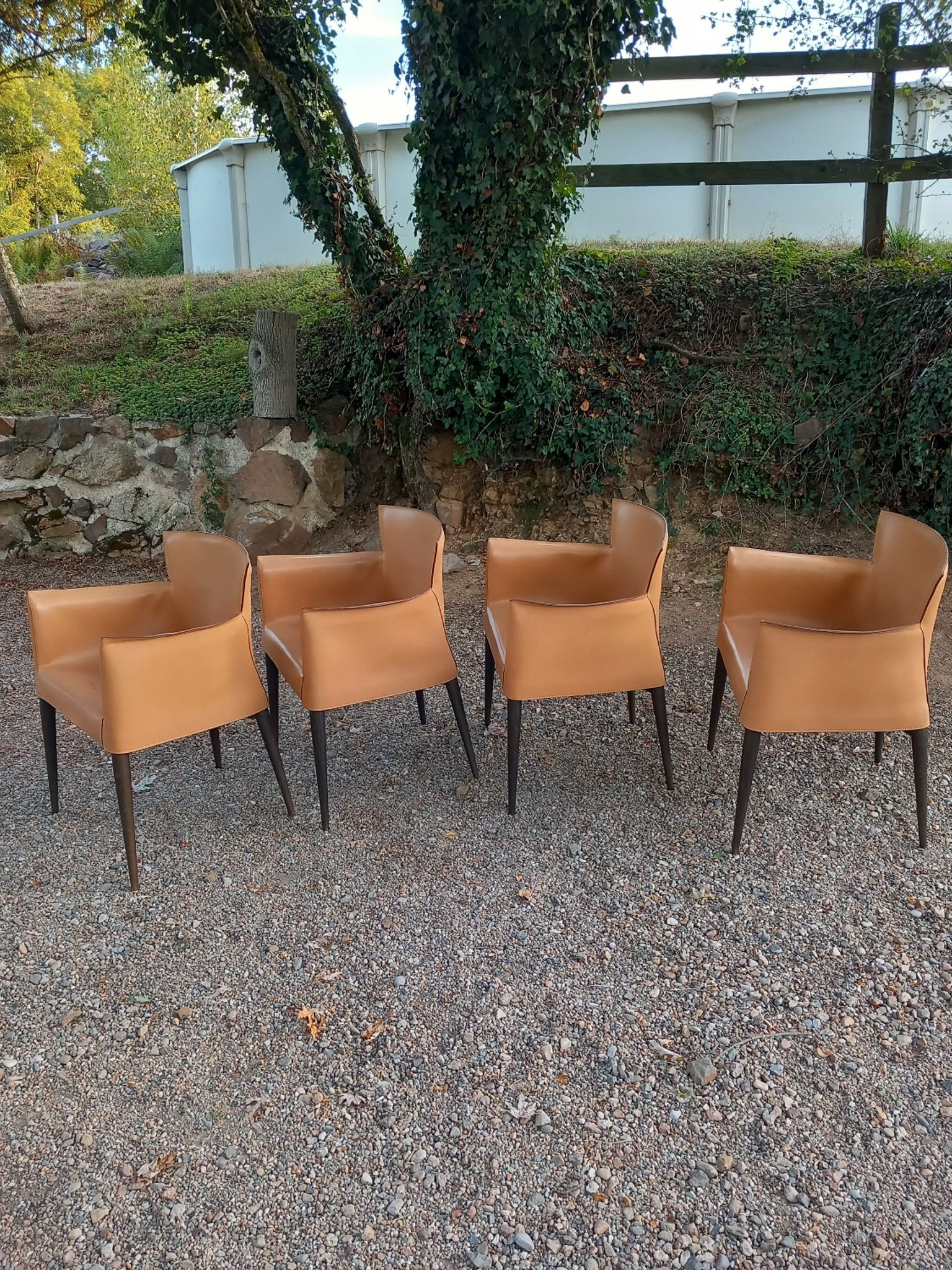 Ensemble de 4 chaises Vela par Carlo Bartoli pour Matteo Grassi