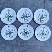 Lot de 6 assiettes à dessert "Thymus" BOCH Botanica