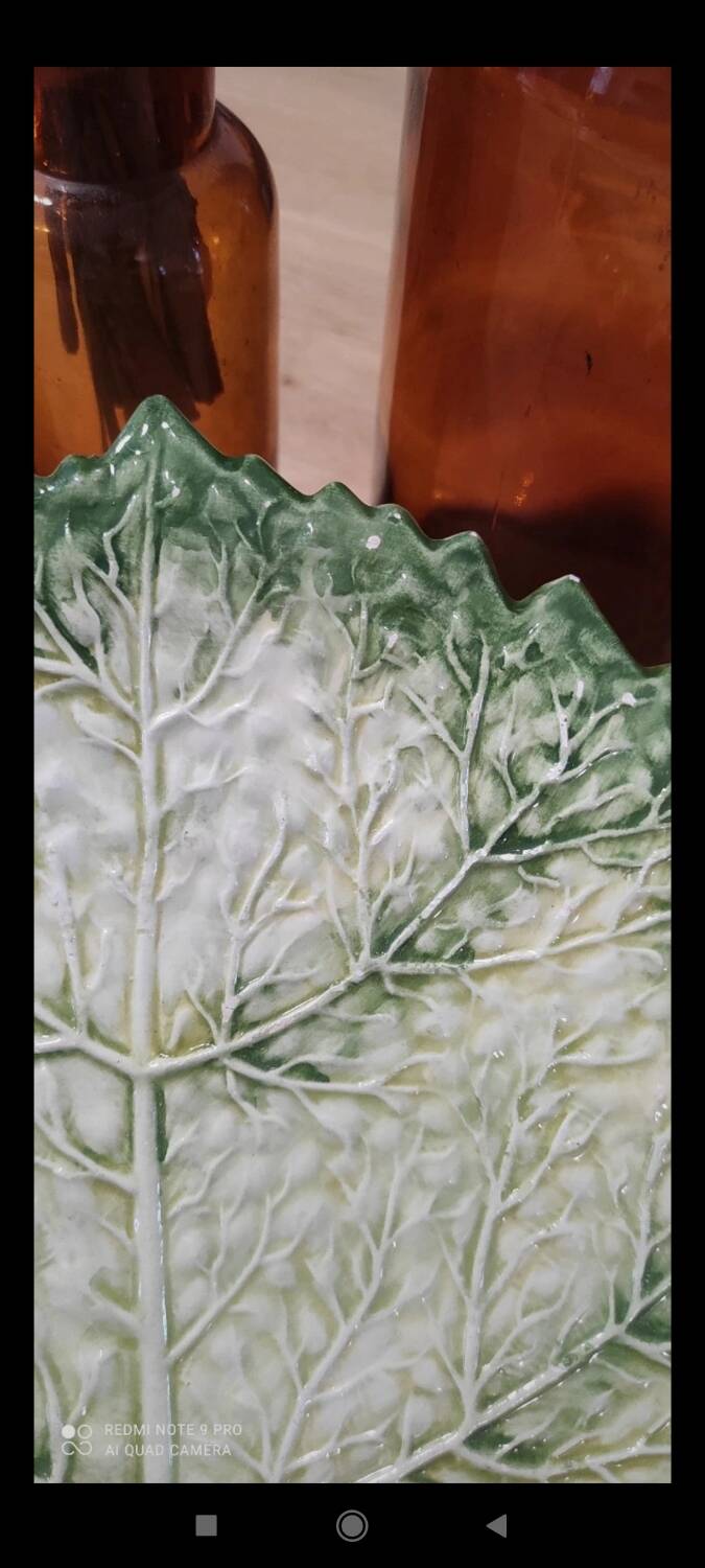 Cabbage leaf plate Barbotine