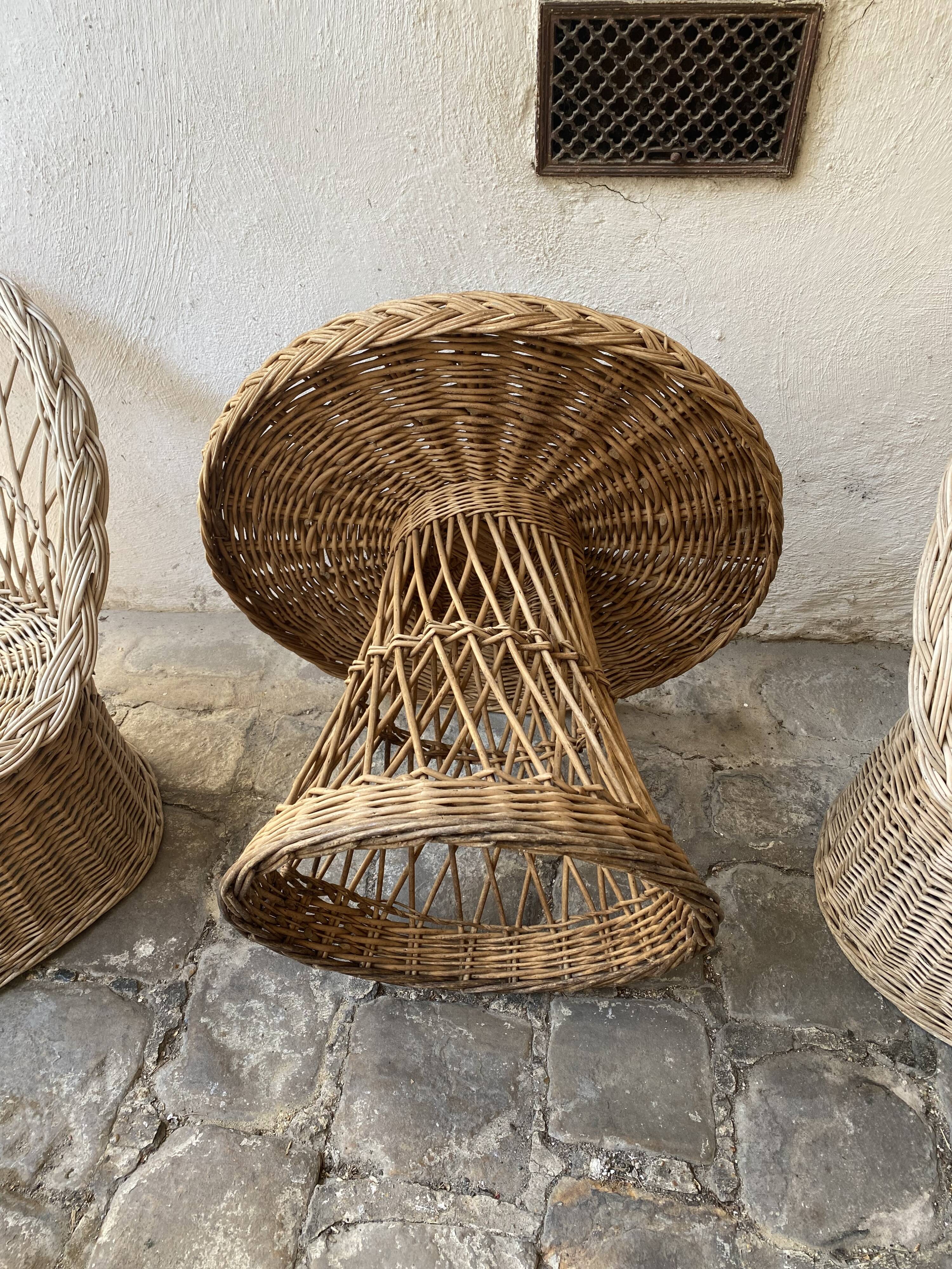 Rattan garden furniture / winter garden / 4 pieces