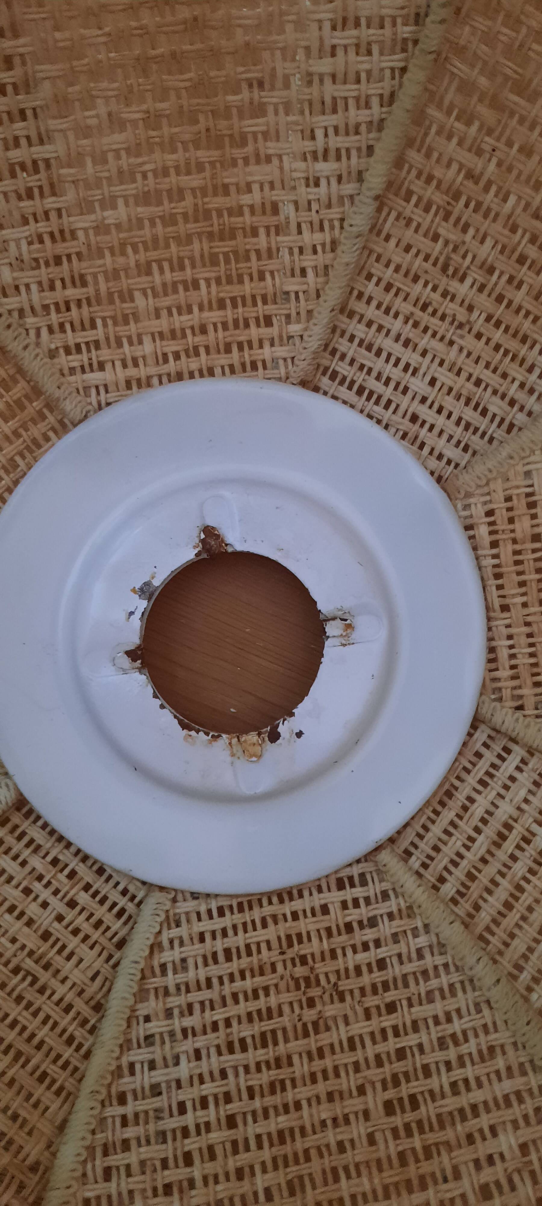 Tulip pendant light in natural fibers