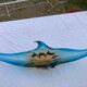 Murano glass from the 70s or 60s