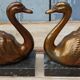 Greenhouse book art deco swan