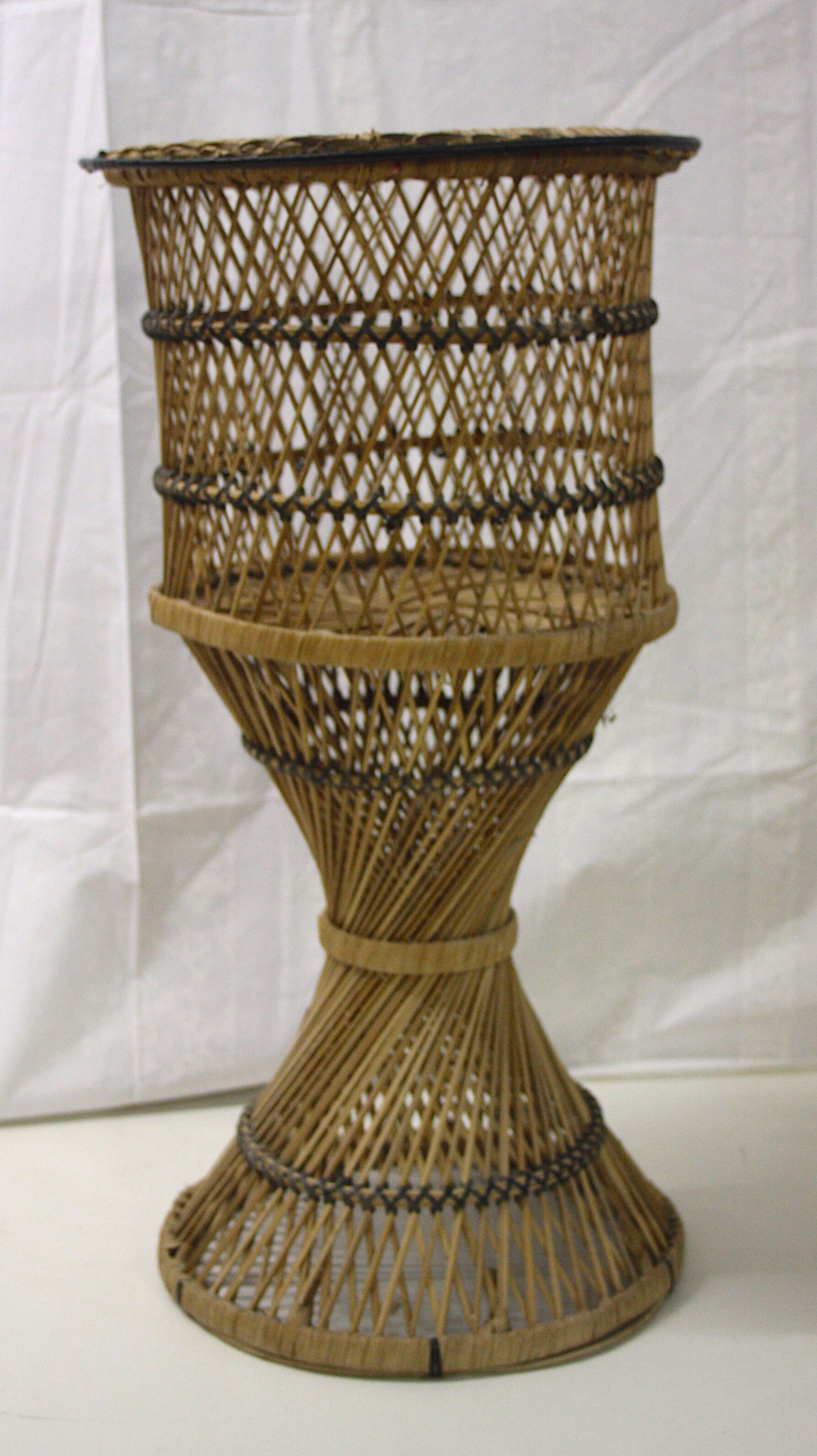 Door diabolo rattan plant