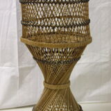 Door diabolo rattan plant