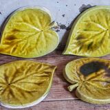 Four ceramic leaf cups from Les potiers d’Accolay