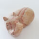 Stone box in the shape of a hippopotamus