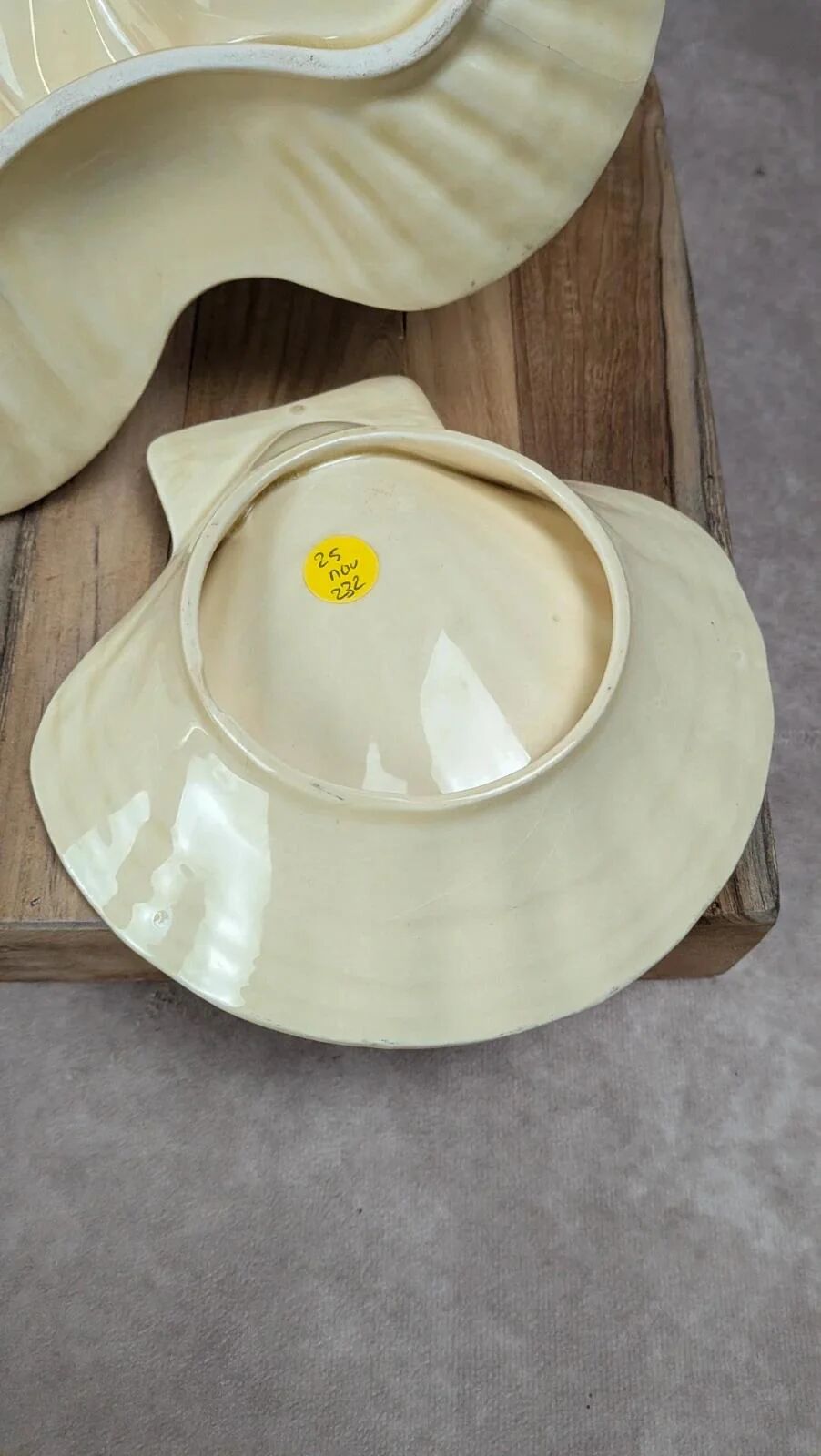 Présentoir coquillage vintage Siloa Paris + 2 coquilles