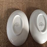 Pair of raviers