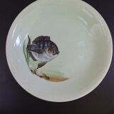 Plates Proceram fish 1950