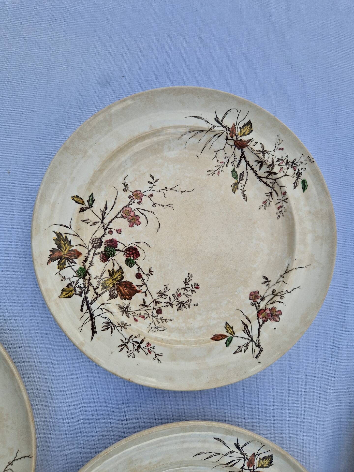 Set of 12 Terre De Fer Plates Manufacture Moore & Co Model Como