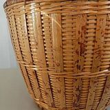Rattan plant pot