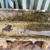 Cement planter