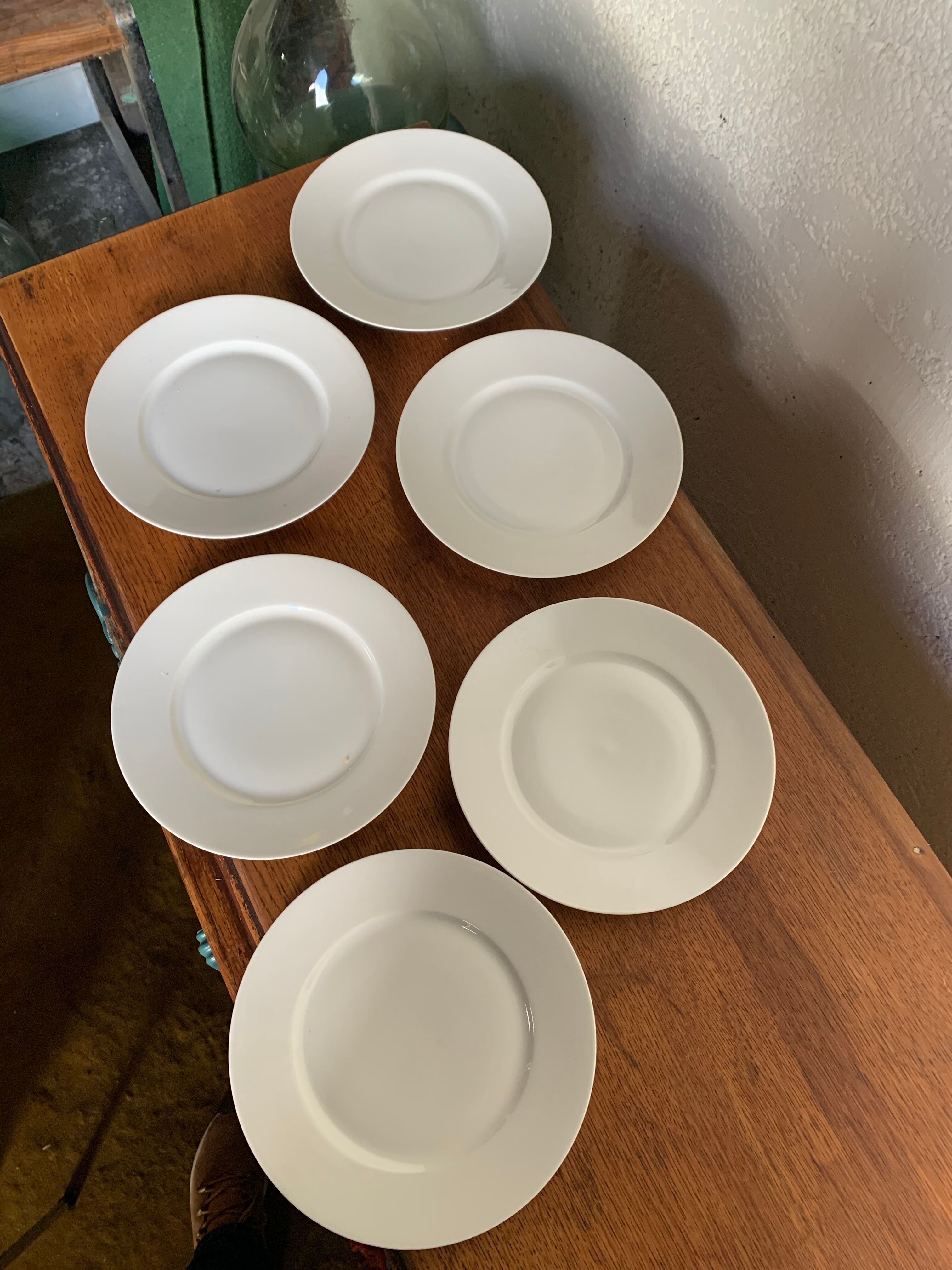 6 flat plates Limoges porcelain.