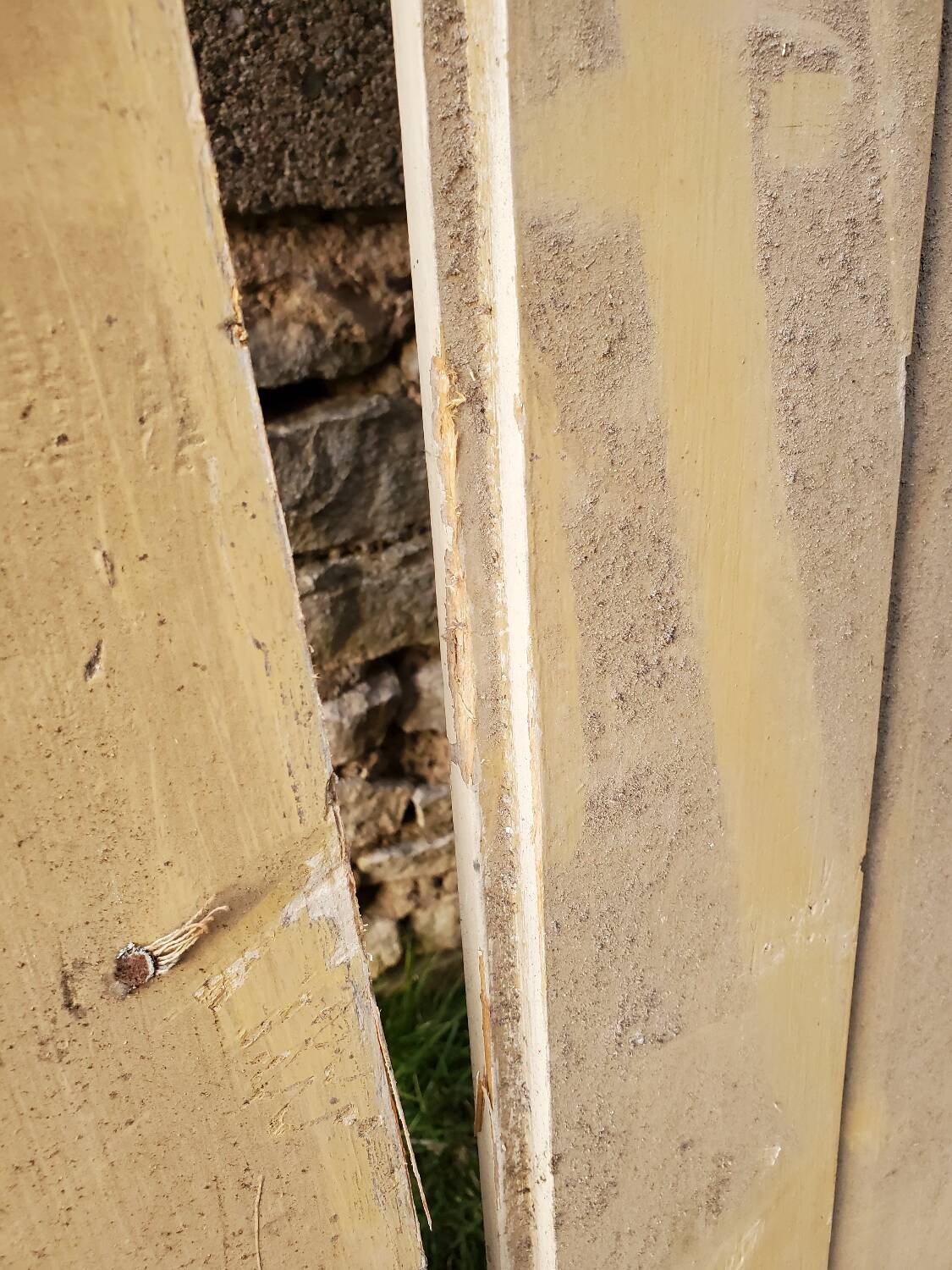 Pair of antique cupboard doors