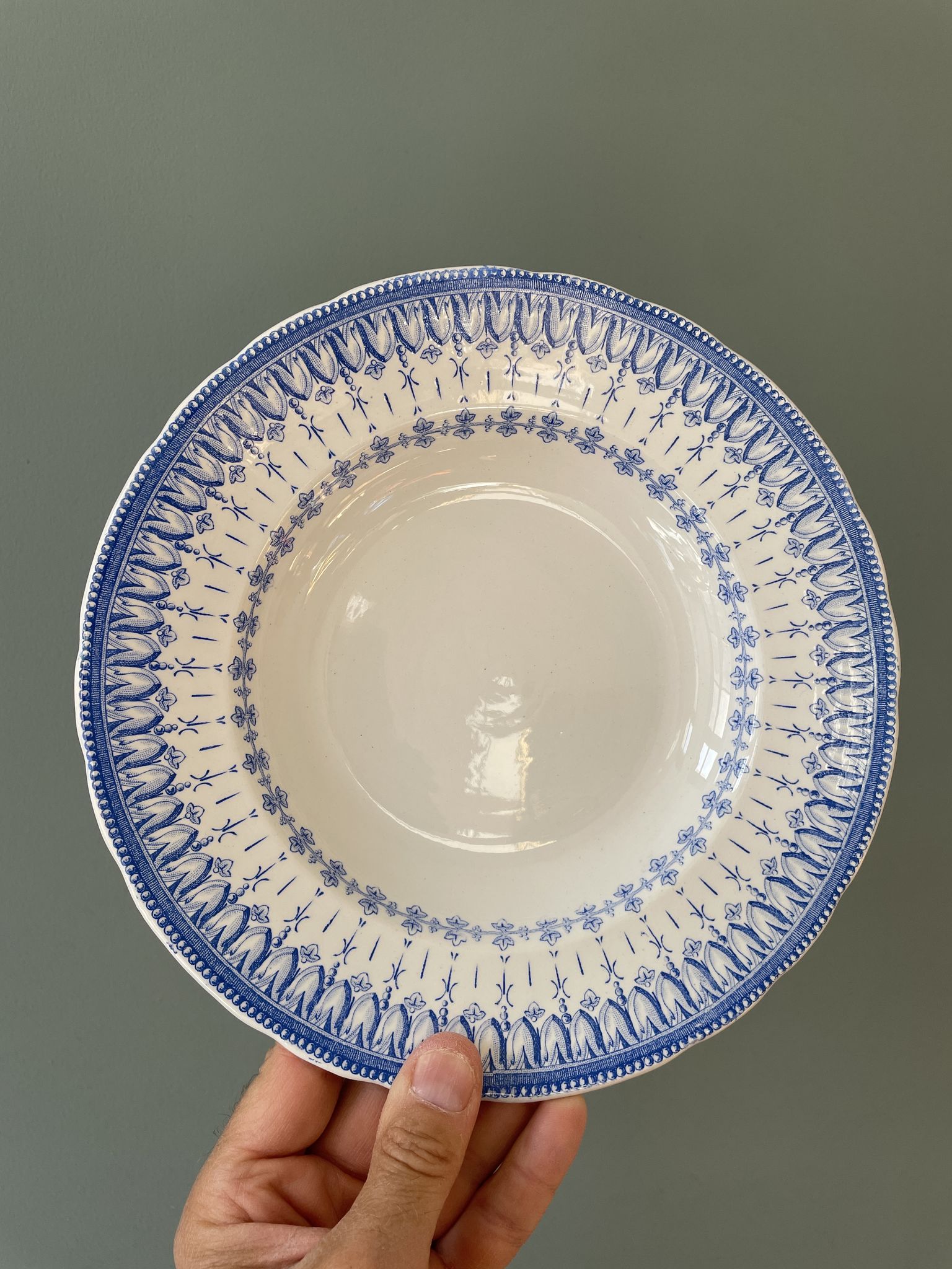 Service of 8 hollow plates Flora Rocaille Creil and Montereau