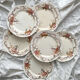 6 polychrome ironstone dinner plates "Wentworth" by Emile Bourgeois