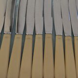 Set of 12 vintage stainless steel blade knives