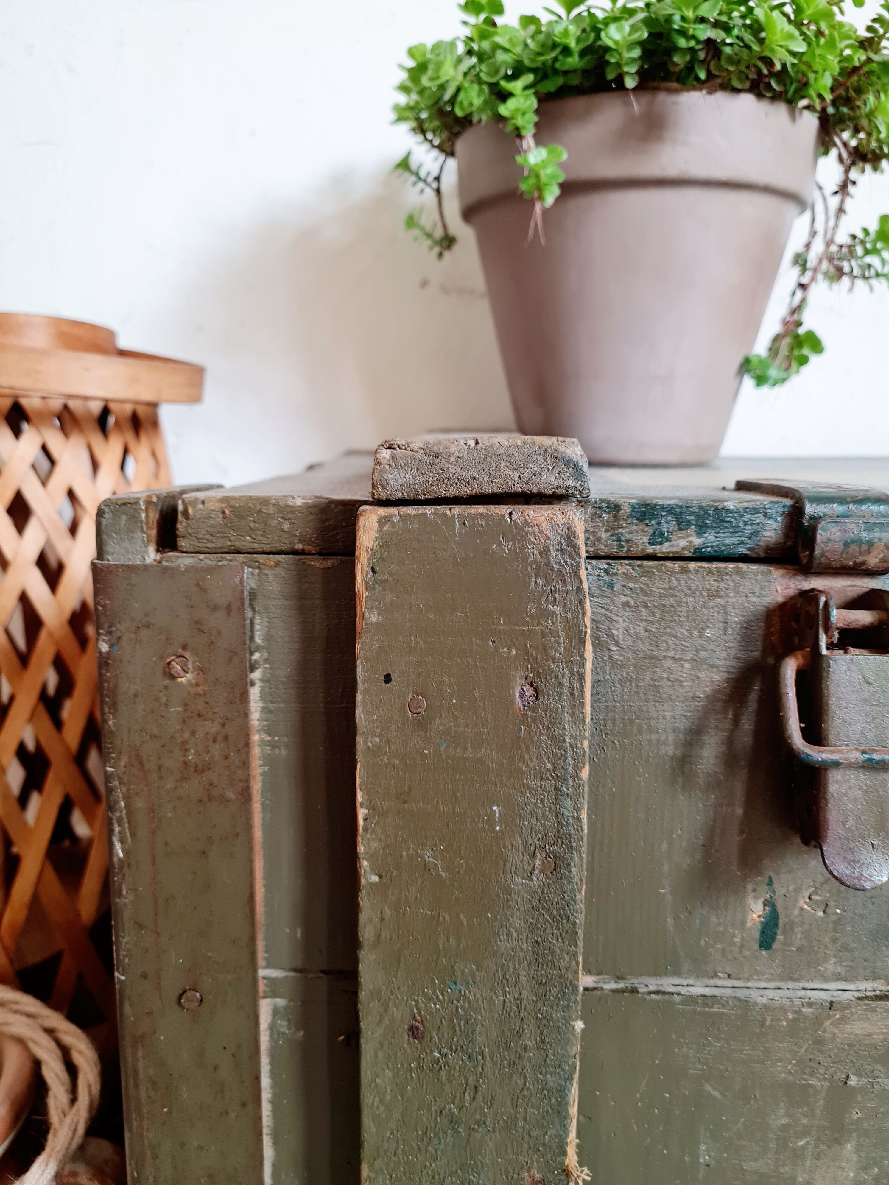 Old green military crate or trunk