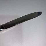 Box of 12 stainless steel table knives