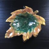 Empty autumn leaf pocket