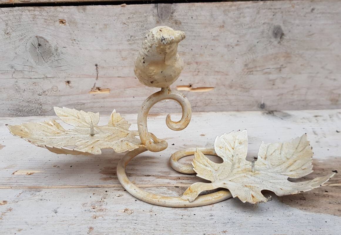 Rural candlestick bird white