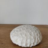 Boule de corail blanc
