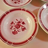 set of 11 vintage soup plates with red flowers