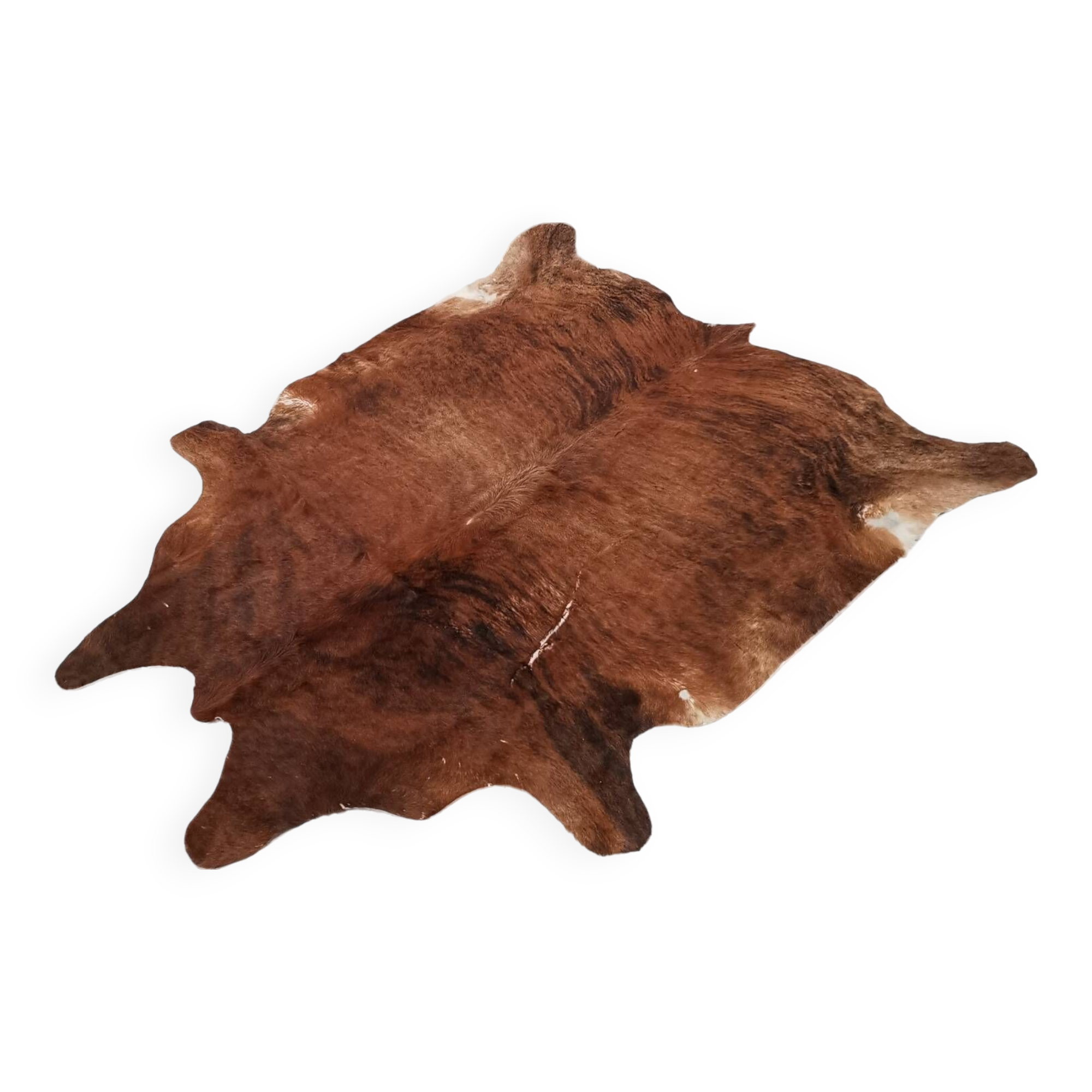 Large Zebu cowhide / rug, Brazil
