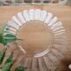 27 vintage Duralex dessert plates