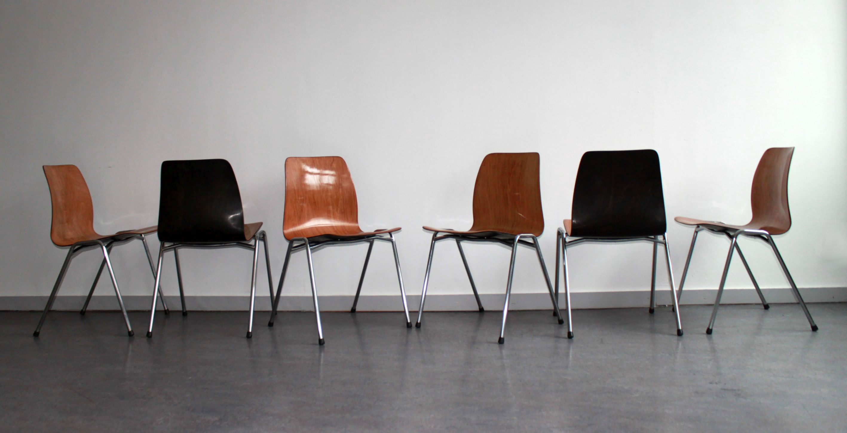 Ensemble de 6 chaises pagholz bicolores par Adam Stegner, 1960
