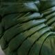 Togo chaise lounge in green leather attributed to Michel Ducaroy for Ligne Roset, 1974