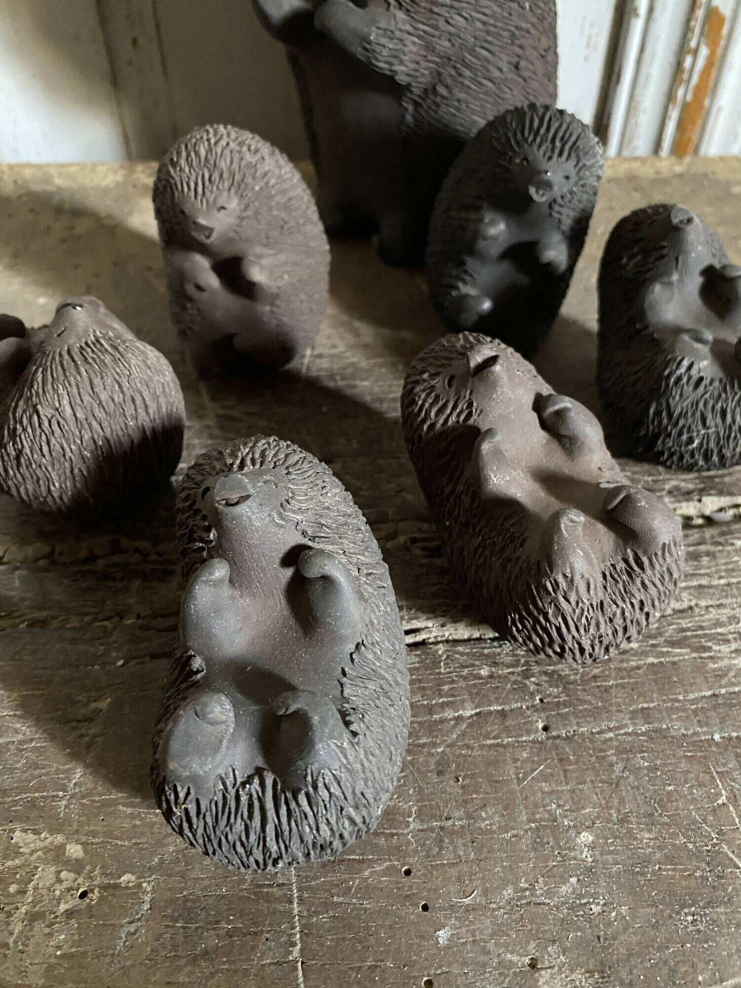 Danish hedgehogs by Ellen Karlsen